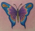 /album/galeria-de-fotos/borboletas-jpg/