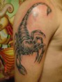 /album/galeria-de-fotos/escorpi%c3%b5es-jpg/